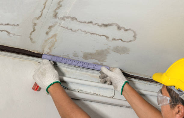 Reliable Water Damage contractor in Macksburg, OH by Water Damage Irwin